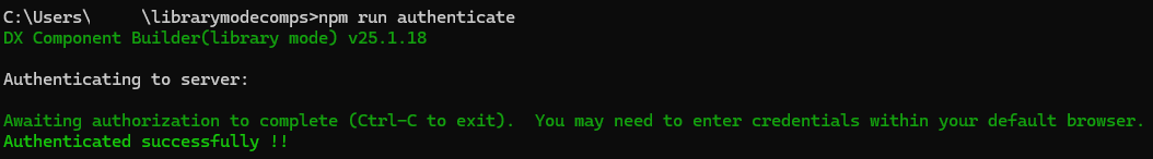 Command line interface depicting the authentication process