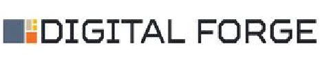 =Digital Forge LLC