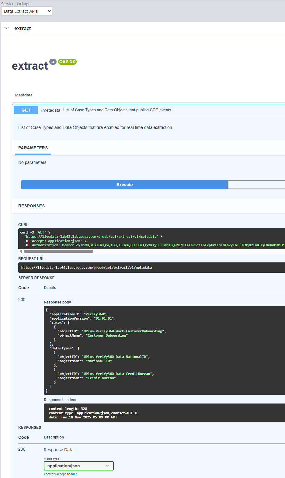 The Pega API landing page with the metadata method running.