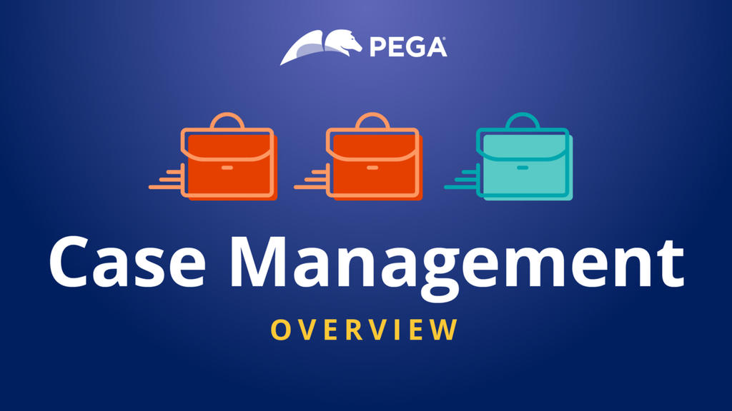 Case Management Overview