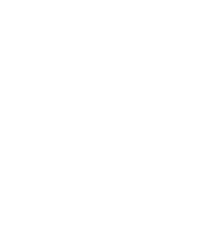 AIG Logo