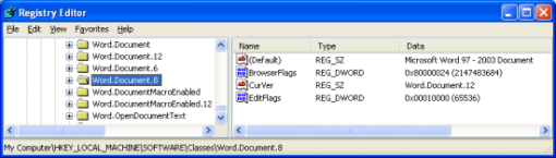 Registry Editor - Word.Document.8 key